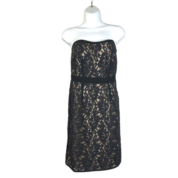 Loft Black Lace Overlay Nude Strapless Cocktail Dress Size 2 NEW with Tags - Picture 1 of 6